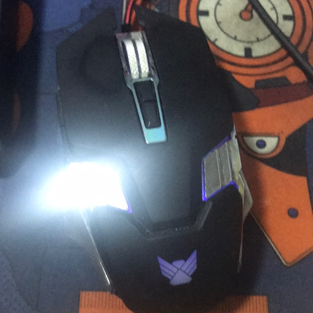 Mouse